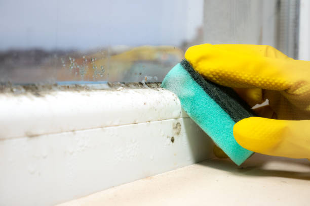 Crawl Space Mold Removal in Menomonee Falls, WI
