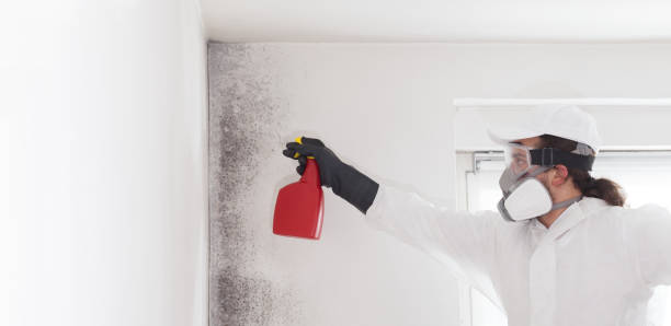 Best Mold Cleaning Services  in Menomonee Falls, WI