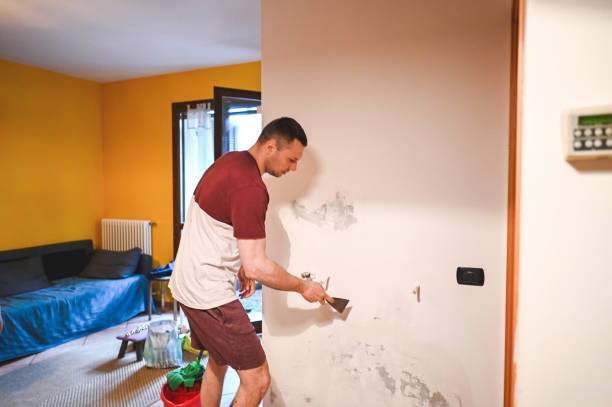 Menomonee Falls, WI Mold Removal Company